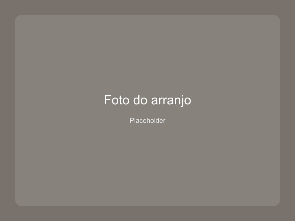 Foto de arranjo na demonstração